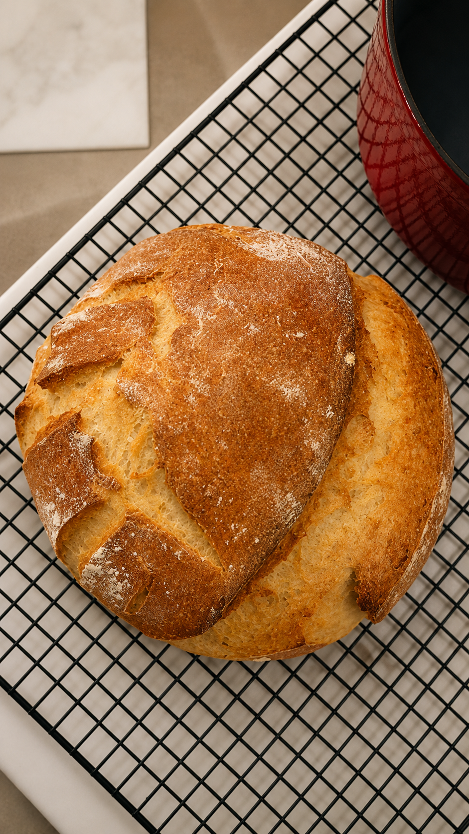 Full-size gluten-free sourdough boule on a wire rack, shown for scale