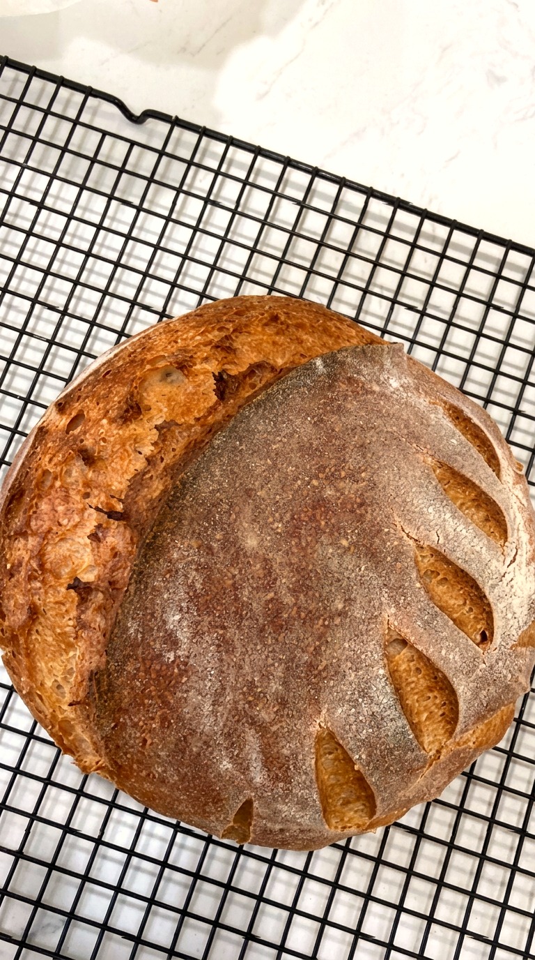Full-size gluten-free sourdough boule with a scored, flour-dusted crust on a cooling rack